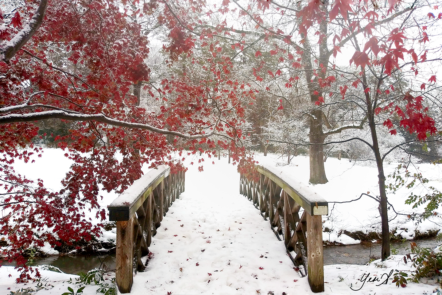 Bridge Between Seasons